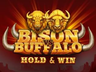 Bison vs Buffalo game icon